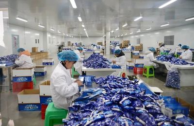 路斌實地調研督導科技有限公司復產復工情況